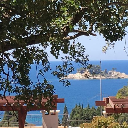 Villa Julia Petrovac Buitenkant foto