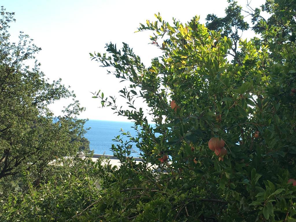 Villa Julia Petrovac Buitenkant foto