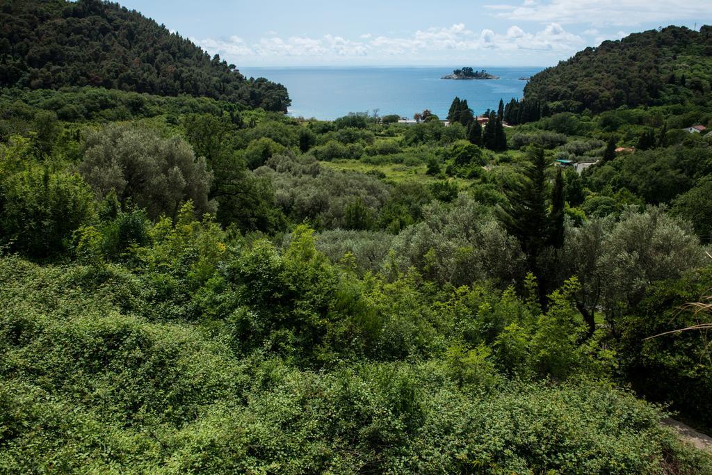 Villa Julia Petrovac Buitenkant foto